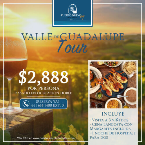 Valle de Guadalupe Tour