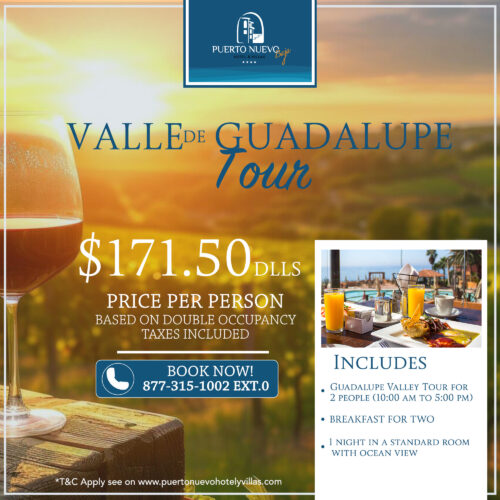 Valle de Guadalupe Tour ENG 2025